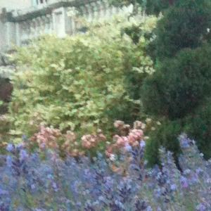 Meet your Posher, Camilla